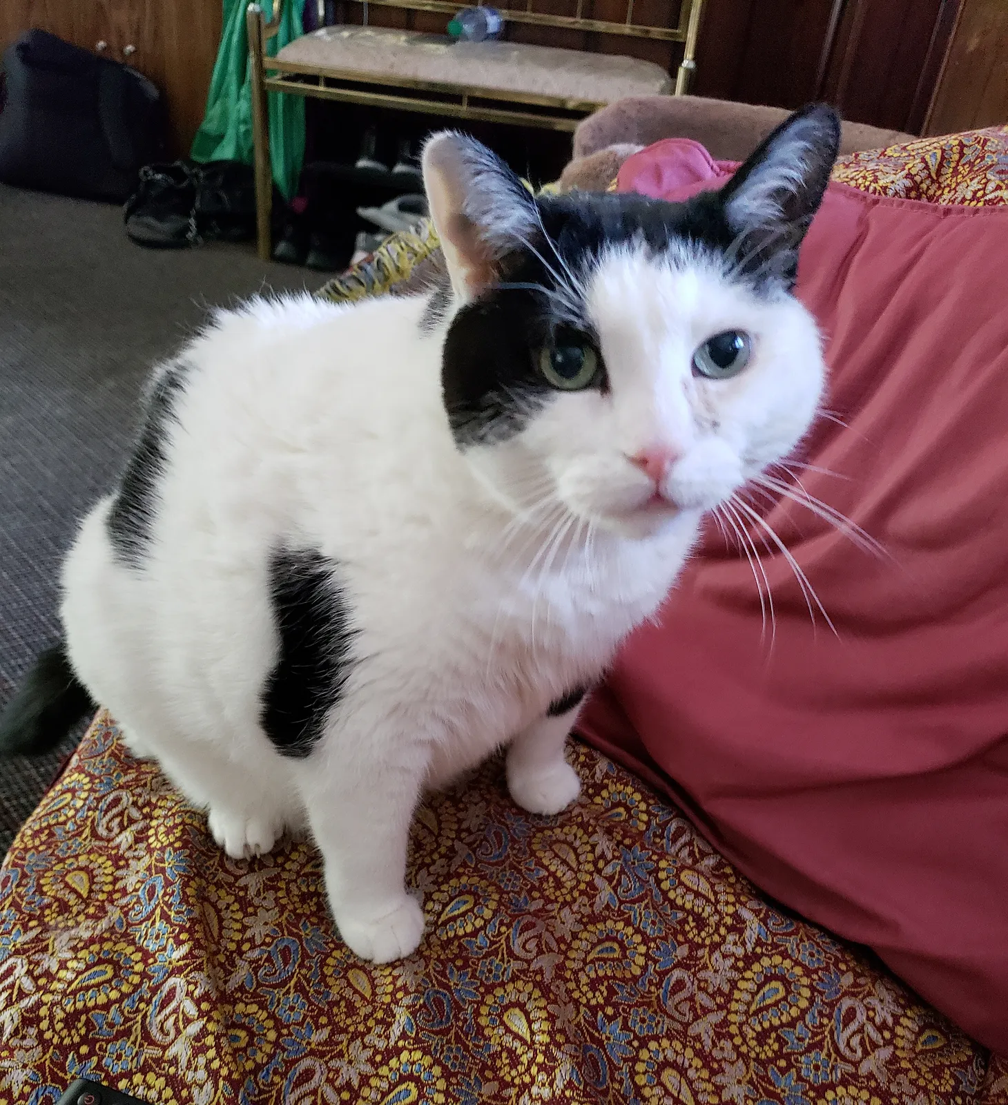 20190312_152456.jpg