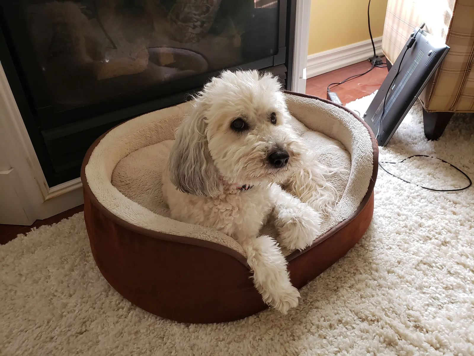 20180324_092117.jpg
