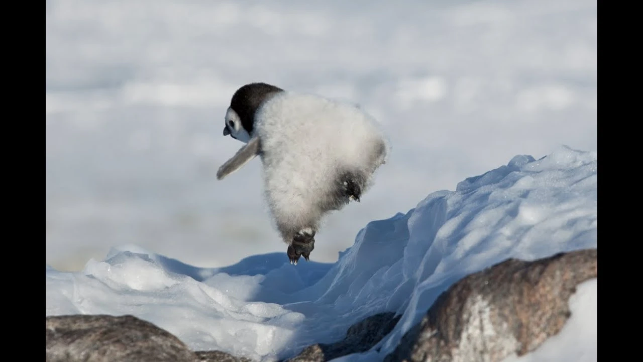 How To Avoid Falls On Ice